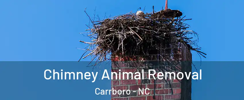 Chimney Animal Removal Carrboro - NC