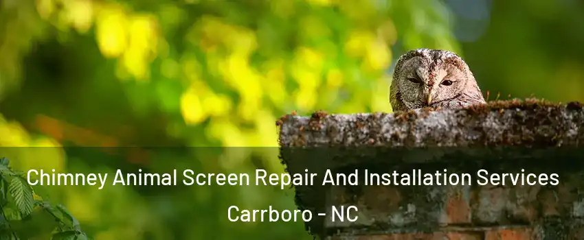 Chimney Animal Screen Repair And Installation Services Carrboro - NC