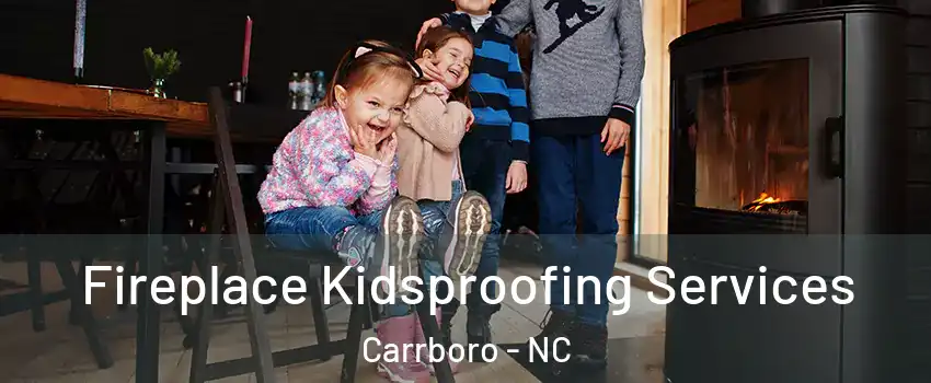  Fireplace Kidsproofing Services Carrboro - NC