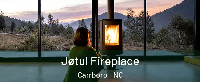 Jøtul Fireplace Carrboro - NC