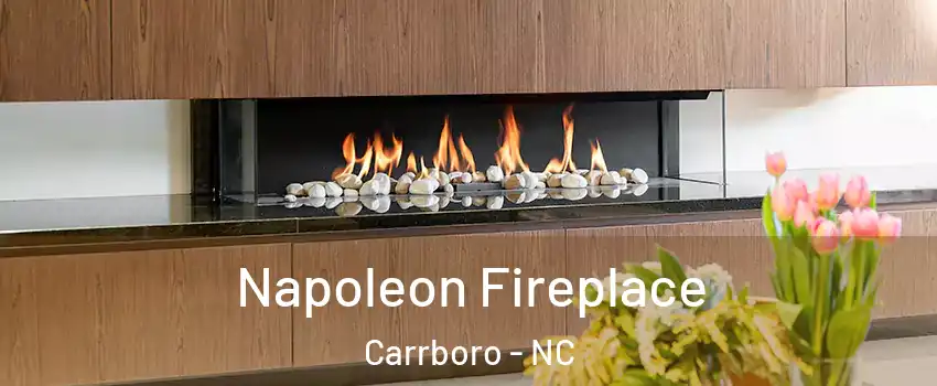  Napoleon Fireplace Carrboro - NC