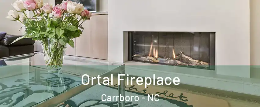 Ortal Fireplace Carrboro - NC